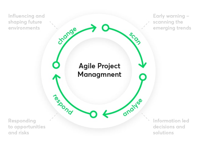 agile_waterfall_Obszar roboczy 1.png