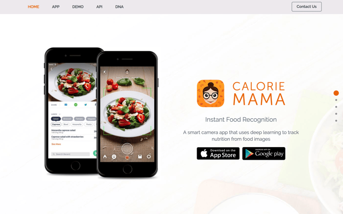 image recognition app for calorie counting