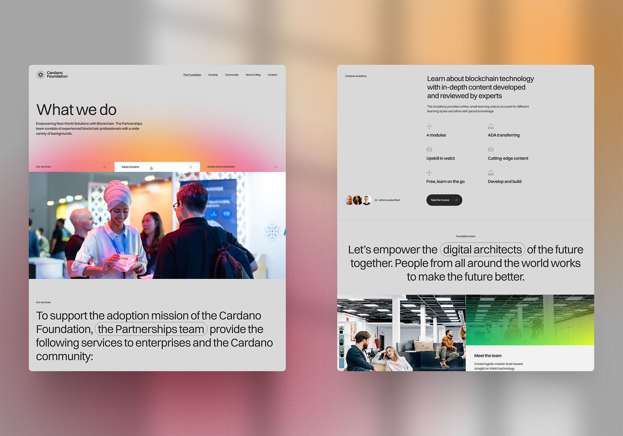 Cardano website project.