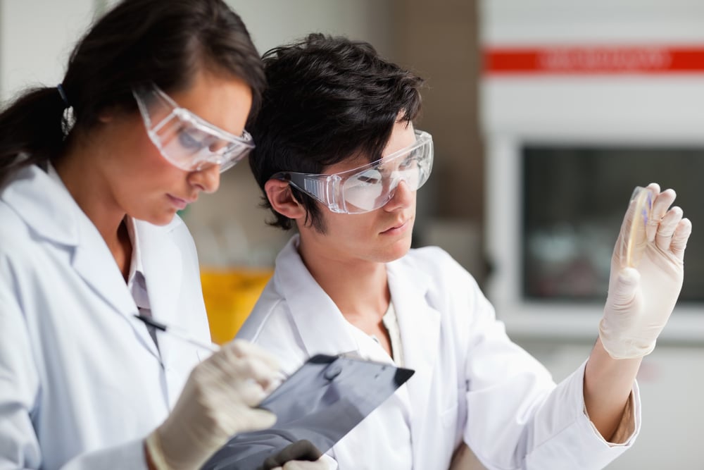 Concentrate science students looking at Petri dish in a laboratory