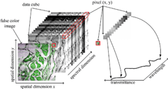 Data cube with spectral and spatial dimensions