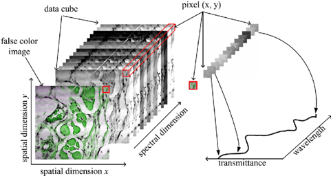 Data cube with spectral and spatial dimensions