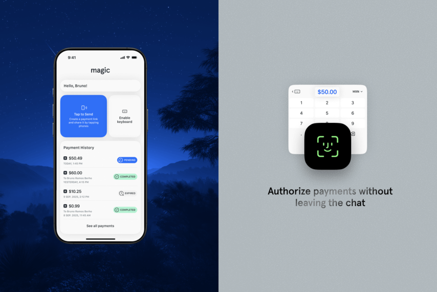Magic Pay 1