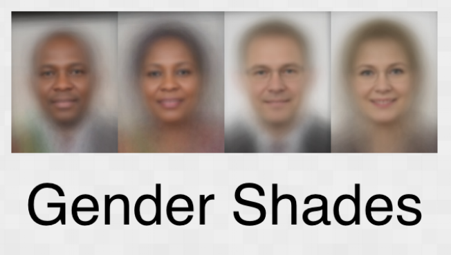 gender_shades-315047-edited