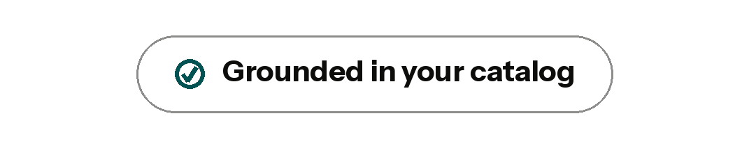 pill-grounded-in-your-catalog tag