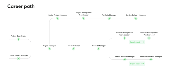 product manager career path at netguru