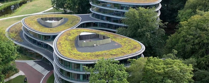 bird view of 3 buildings with natural plant-covered roofs, surrounded by trees